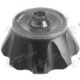Catalog 434537